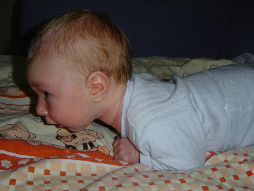 Szybko, szybko, róbcie zdjęcie!