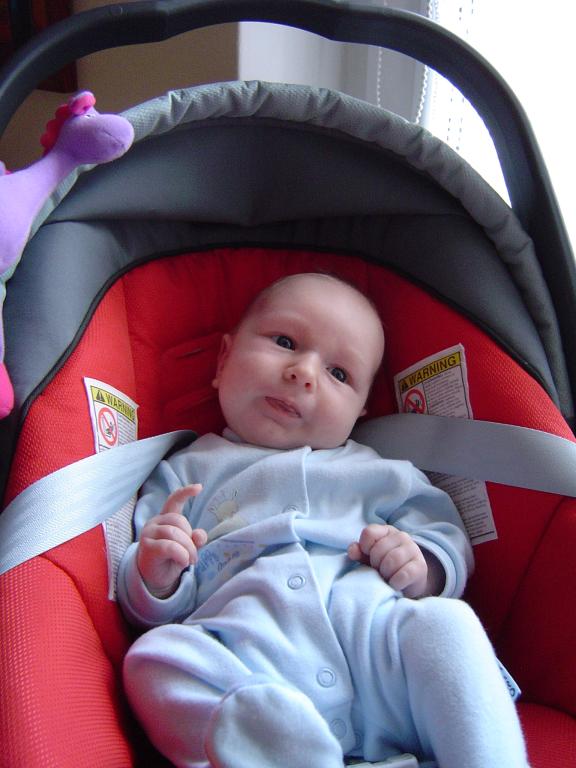 Ostatni raz Ci tłumaczę, żyrafo: