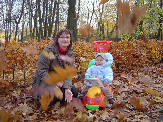 Zasłonna dymna z liści...