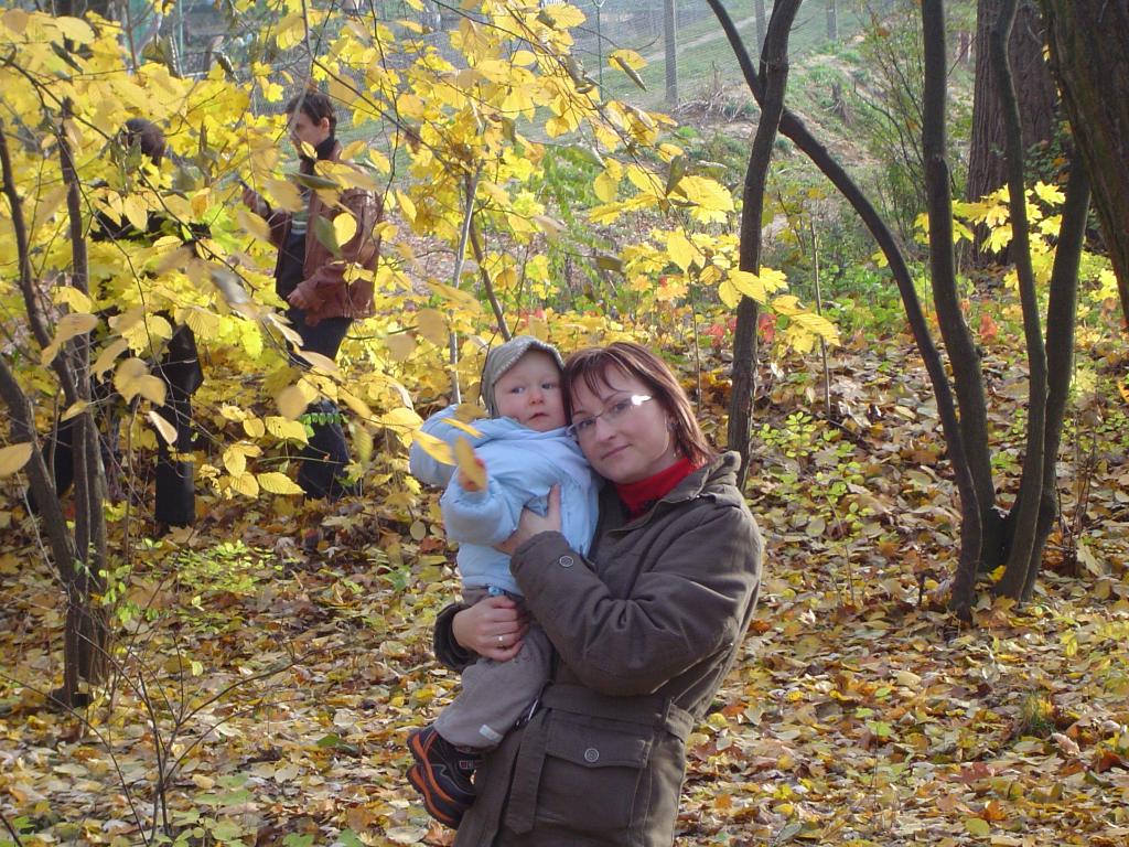 W kraju żółknącego ....