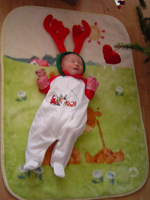 Na łączce, opodal krzaczka...