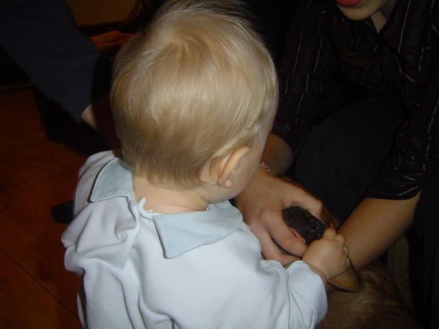 Od małego uczą, jak trzymać...