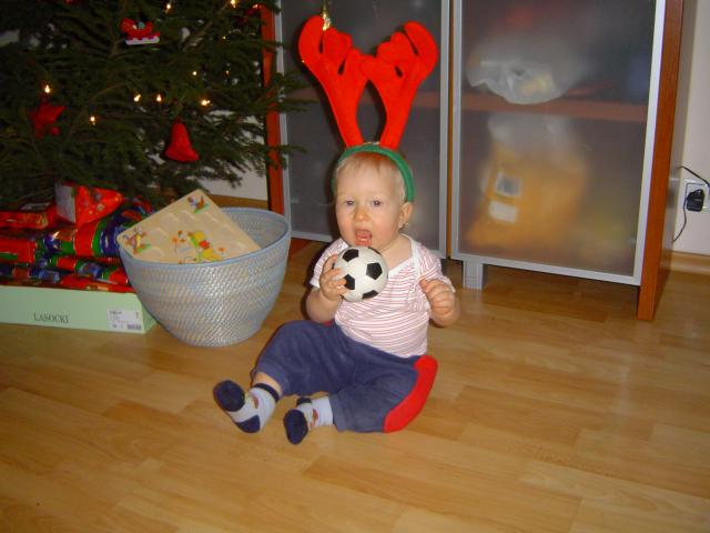 Wygłodniały renifer wtrząchnie nawet