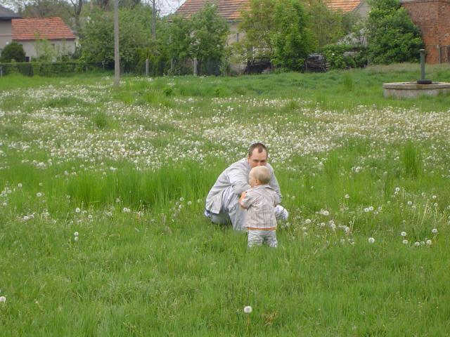 DSC01343
