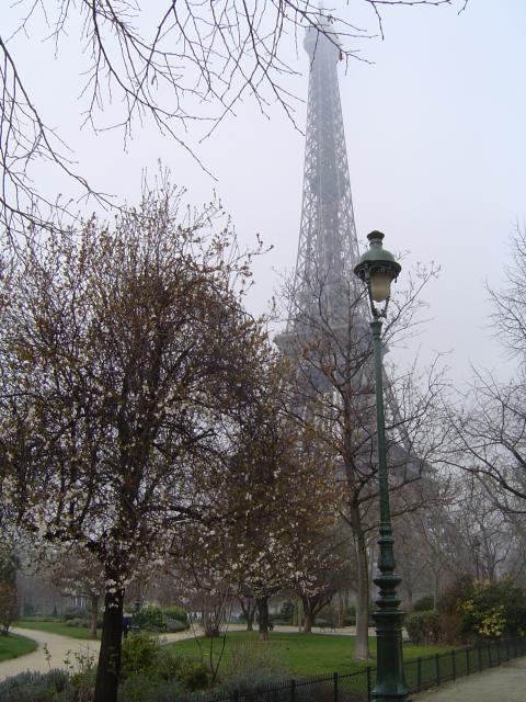 Wiosna nadchodzi - "love is in the air"