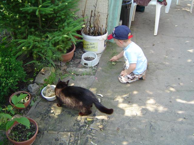 DSC01665