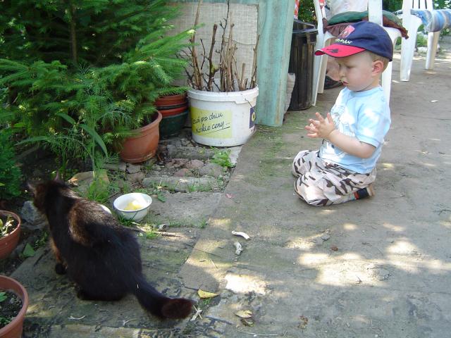 DSC01666
