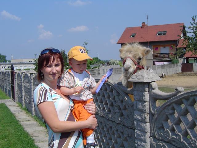 DSC01713