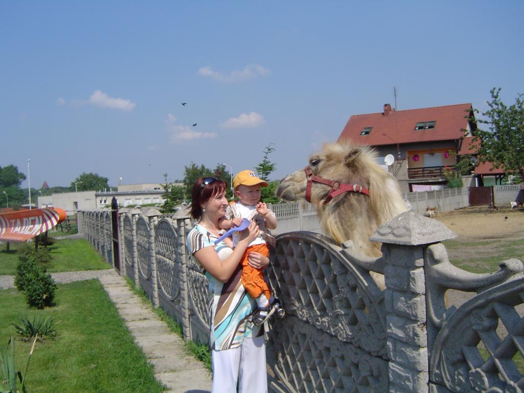DSC01718