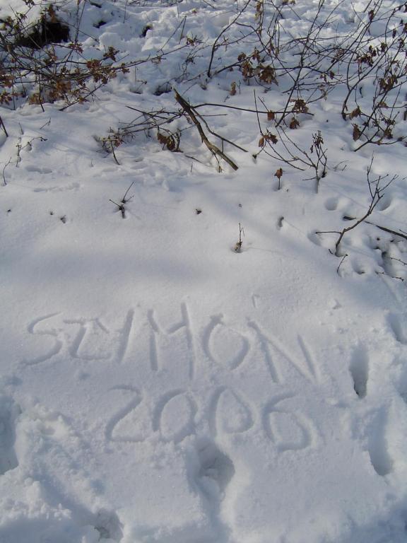 Być może kiedyś to wysikam:)