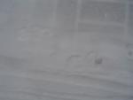 DSC00424