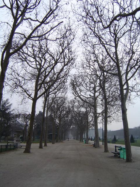 Trotuar - "uwaga: trudne słowo" ...