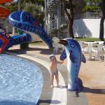 My - morskie stworzenia!