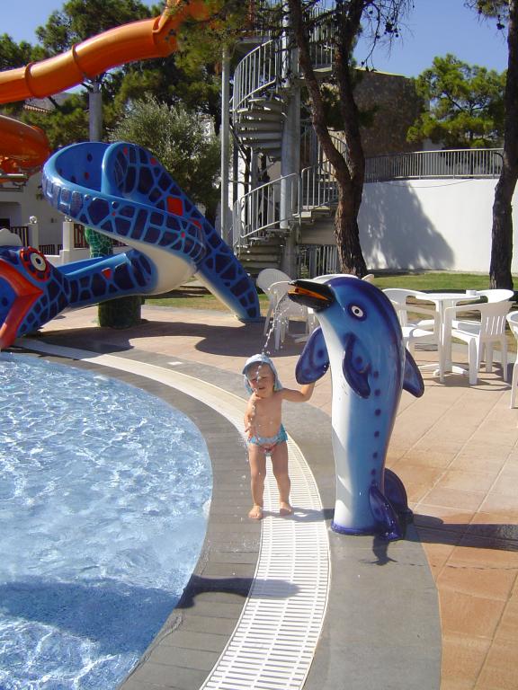 My - morskie stworzenia!