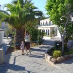 Myślę, że ta palma 