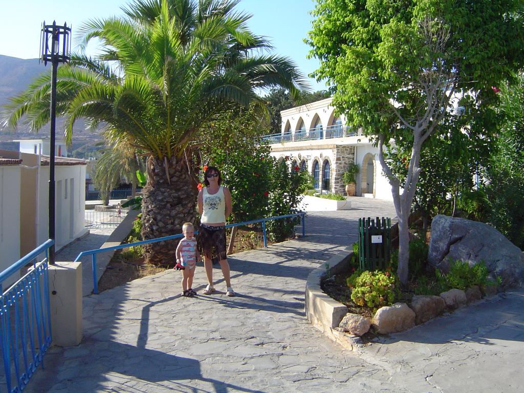 Myślę, że ta palma 