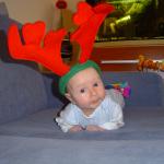 I znowu zrobili ze mnie rogacza:-)