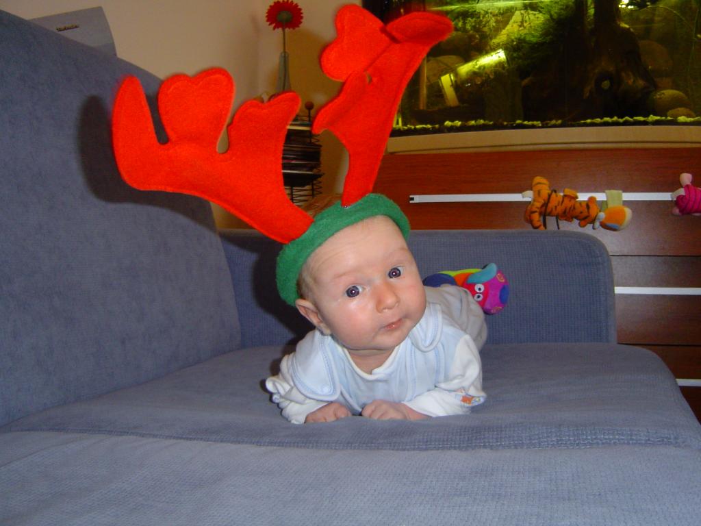 I znowu zrobili ze mnie rogacza:-)