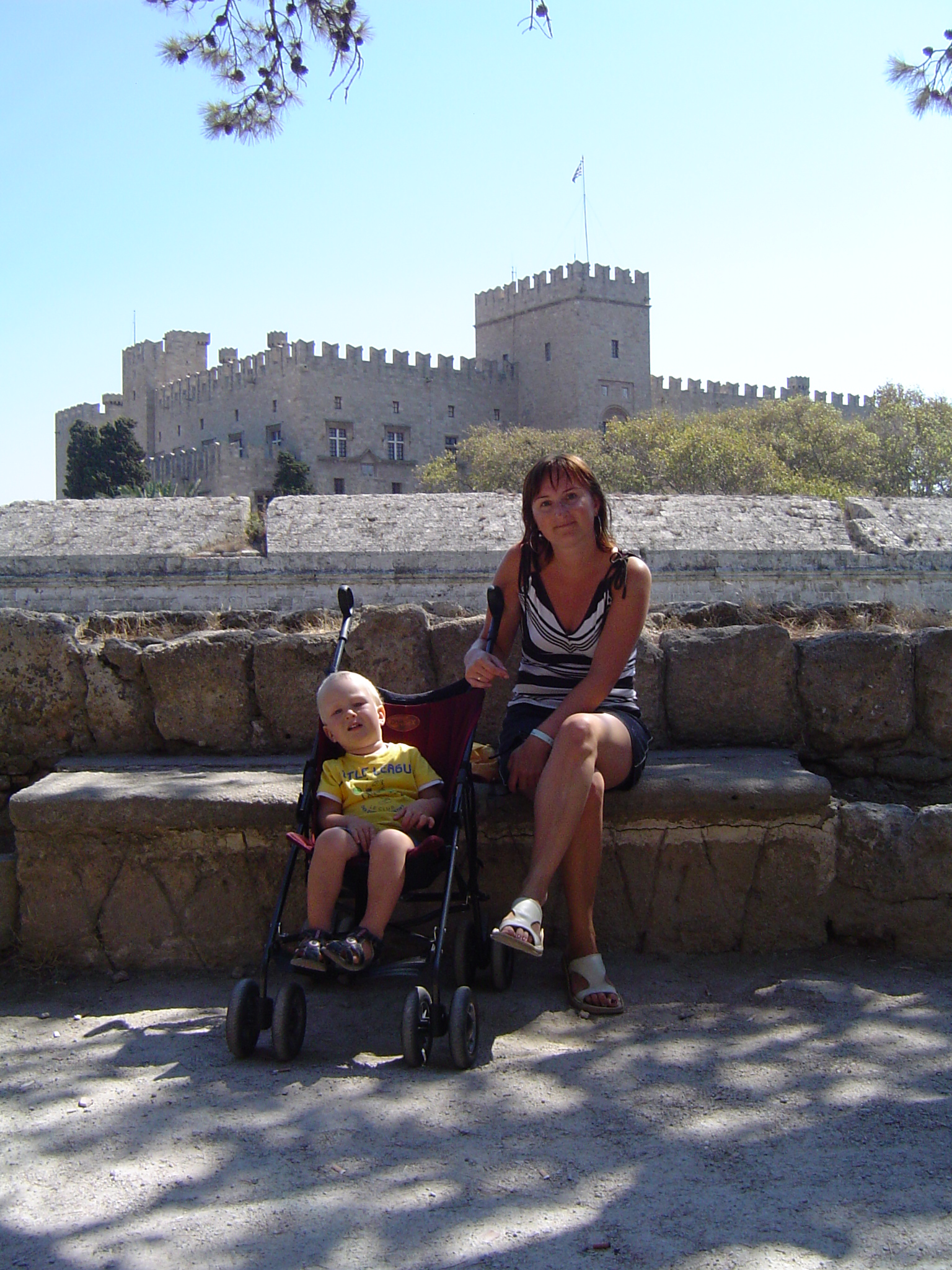 Widok na Pałac Wielkich Mistrzów.