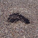 Szymon z plemienia Kamienna Stopa:)