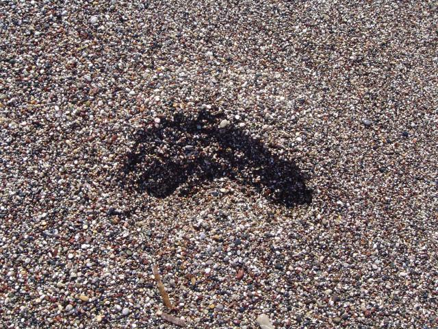 Szymon z plemienia Kamienna Stopa:)