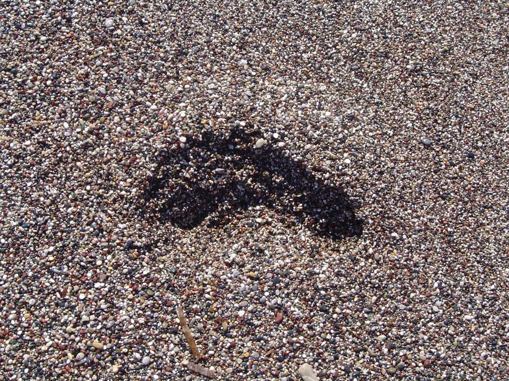 Szymon z plemienia Kamienna Stopa:)