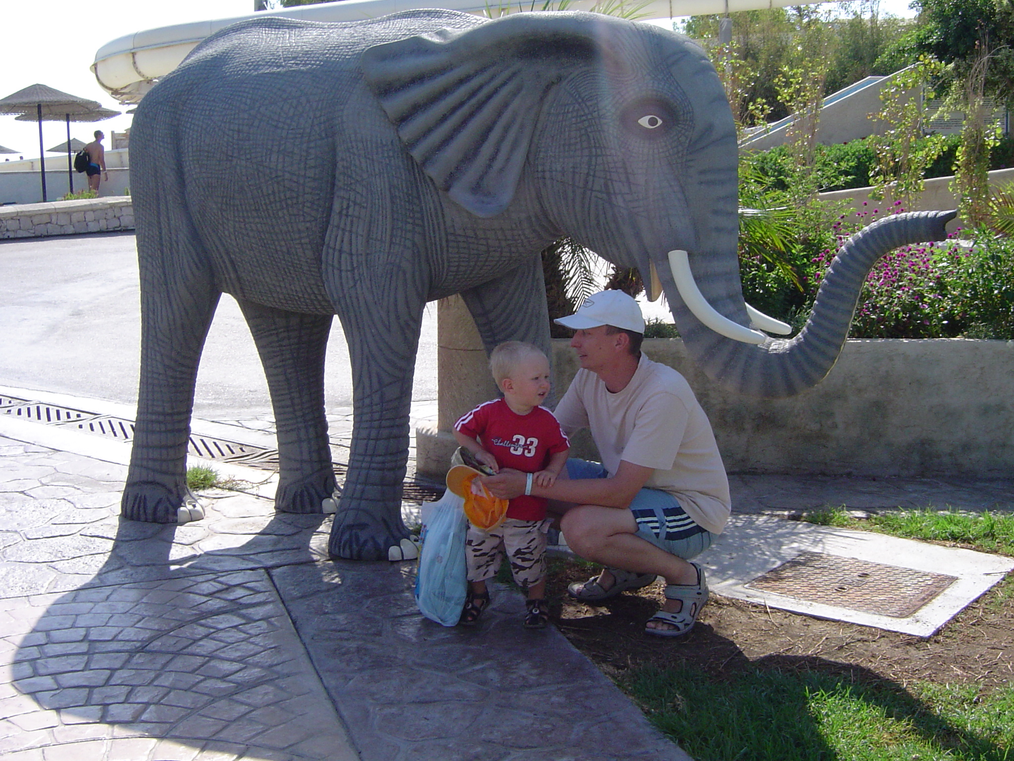 Wczasy pod słoniem...