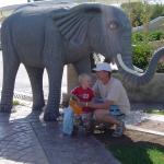 Wczasy pod słoniem...