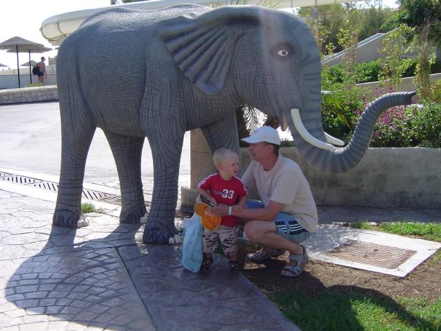 Wczasy pod słoniem...