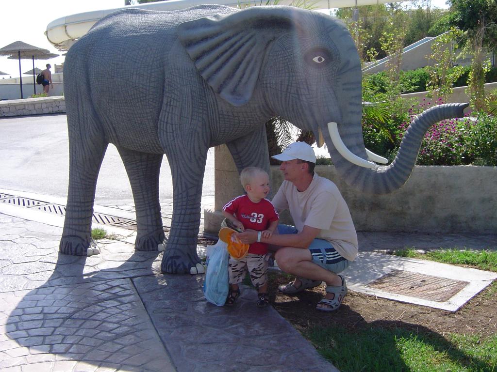 Wczasy pod słoniem...