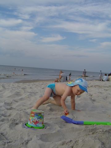DSC02535