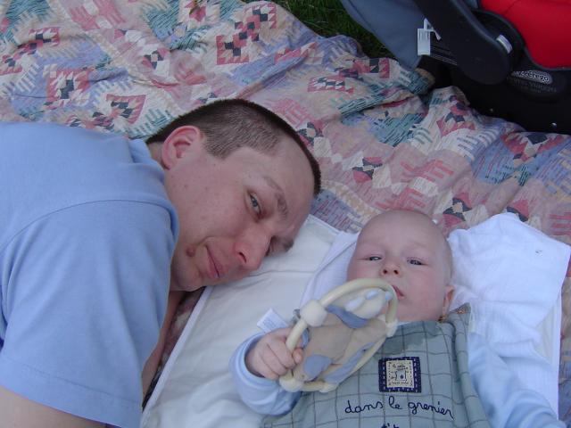 Tłumaczę Tacie do czego są krówki na świecie.