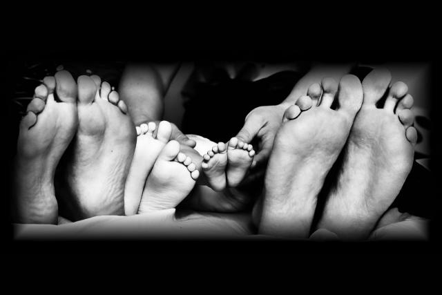 _DSC0554