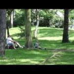 Przejażdżka w parku