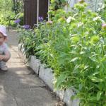 Profesjonalne obserwowanie przyrody...