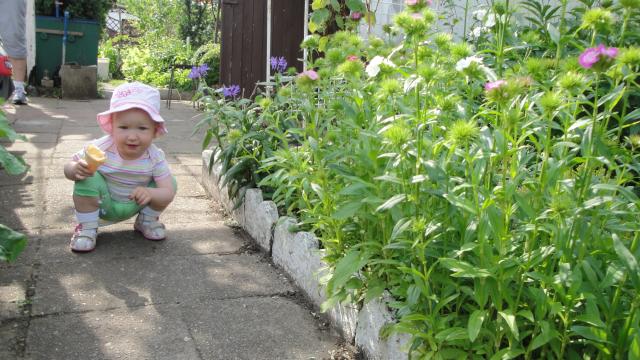 Profesjonalne obserwowanie przyrody...