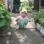 Ta przyroda jest taka ciekawa...