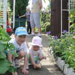 A ty wyglądasz jak żaba