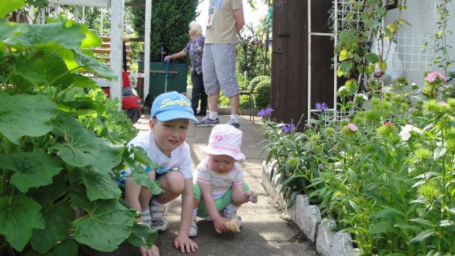 A ty wyglądasz jak żaba