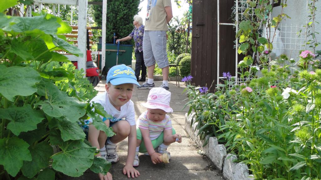A ty wyglądasz jak żaba