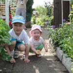 Niby takie niewiniątka a tak naprawdę to