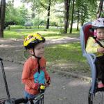 Oto czołowy przedstawiciel teamu renault: czarno-żółte barwy:)