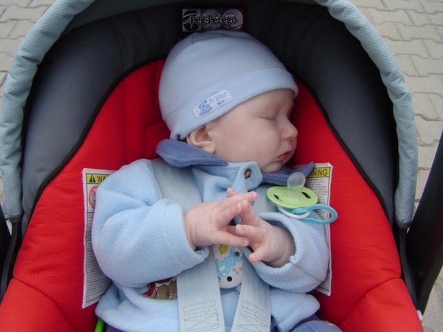 Taki właśnie jestem zawsze : grzeczny!